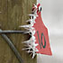 Frost crystallizing on the block post 10